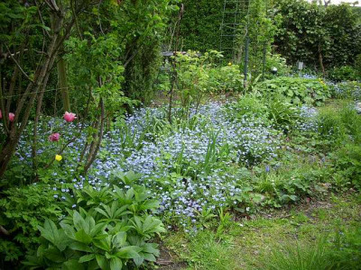 0012_spring_8.jpg