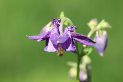 k-IMG_0031.JPG