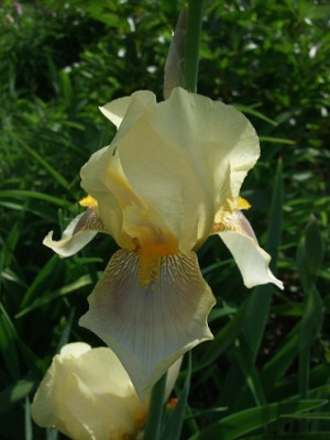 DSCF9024_.jpg