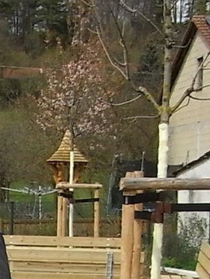R0011940.JPG