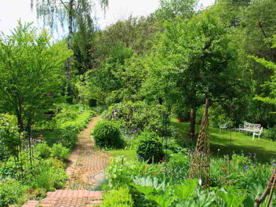 IMG_8637.jpg_garten.jpg