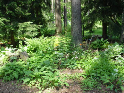 DSC0235.jpg