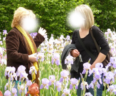 IKrake.jpg