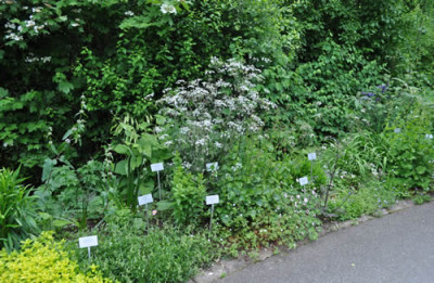 Randbeet_12__4872.jpg