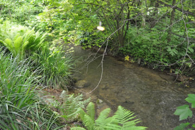 Idyll_12__4877.jpg