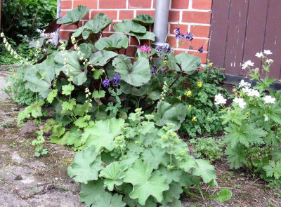 Garteneinblick_Gartenpur.jpg