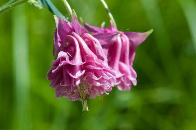 11DSC_7438.jpg