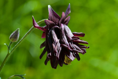 11DSC_7426.jpg