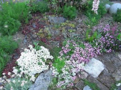 R0012305.JPG