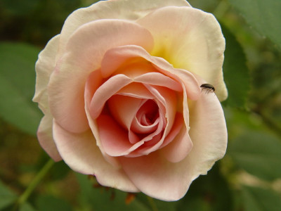 Bilder_240.jpg
