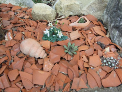 DSCF5070.jpg