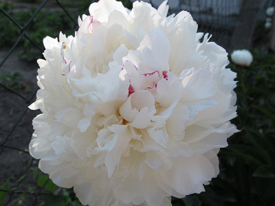 IMG_0872_unbekannt.jpg