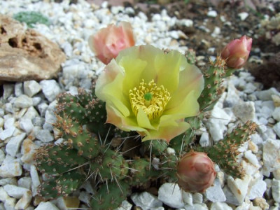 DSCF1612.jpg