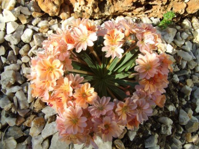 DSCF3784.jpg