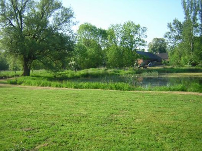 Ufer1.JPG