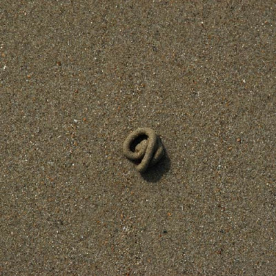 sandwurm_N11917s.jpg