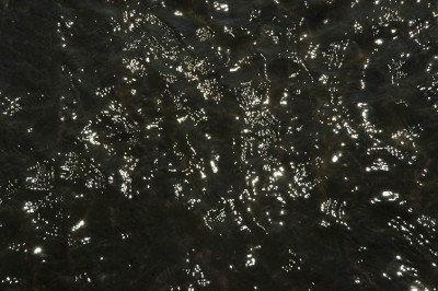 prielglitzern_N11949s.jpg