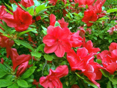 300520124453.jpg