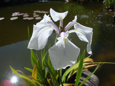 k-DSC03118.JPG