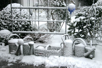 Winter_2609e.jpg