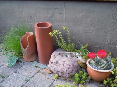 Juni_12_Senksitz_008.JPG