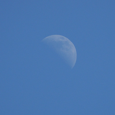 mond_040328_025.jpg