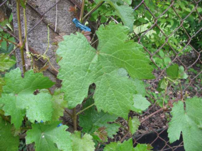 K640_IMG_3102.JPG