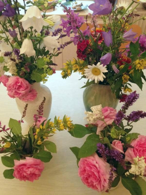 blumen_20120603_zg.jpg