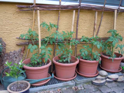 Juni2012_016.JPG