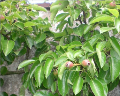 6.6.2012_9-1.jpg