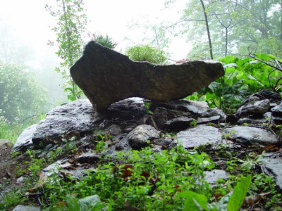 juni_12_081.JPG