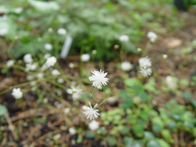 DSC280.jpg