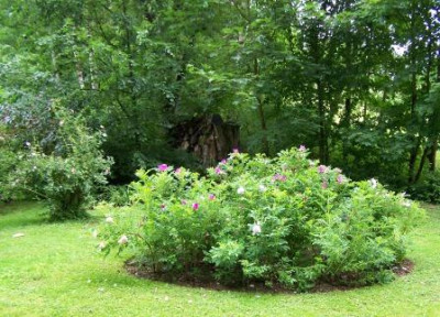 100_8604.JPG