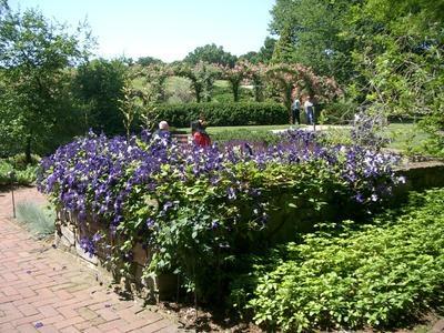 longwood1.jpg