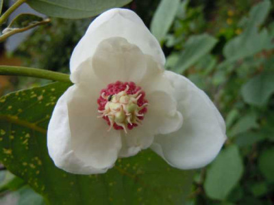15.Juni12_002.JPG