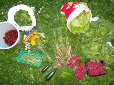 Salatundmehr.jpg