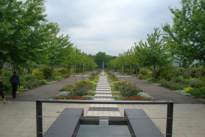 rosarium_hauptachse_zg.jpg