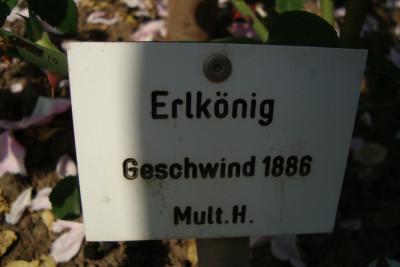 sangerhausen_erlkoenig_2012_zg_schild.jpg