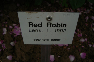 sangerhausen_red-robin_2012_zg_schild.jpg