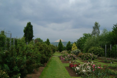 sangerhausen_2012_blick_zg.jpg
