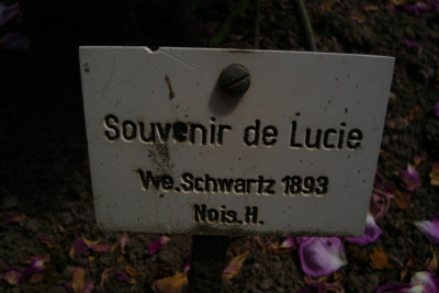 sangerhausen_szene_2012_zg7_schild.jpg