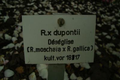 sangerhausen_szene_2012_zg8_schild.jpg