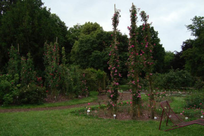sangerhausen_szene_2012_zg14.jpg