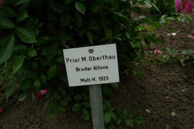 sangerhausen_szene_2012_zg15_schild.jpg