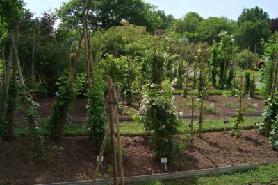 sangerhausen_szene2_2012_zg.jpg