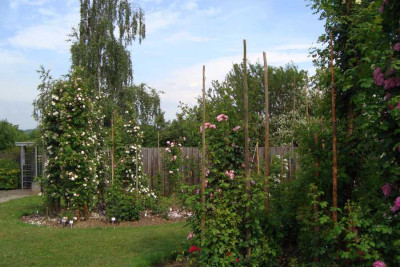 sangerhausen_szene_2012_zg.jpg