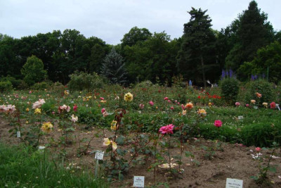 sangerhausen_szene_2012_zg10.jpg