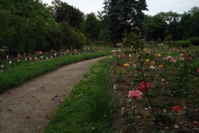 sangerhausen_szene_2012_zg13.jpg