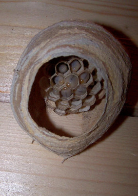 100_9762.jpg