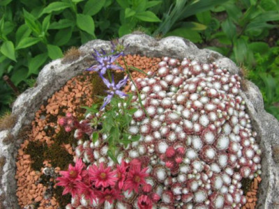 unbekannte19.06.12-1.jpg